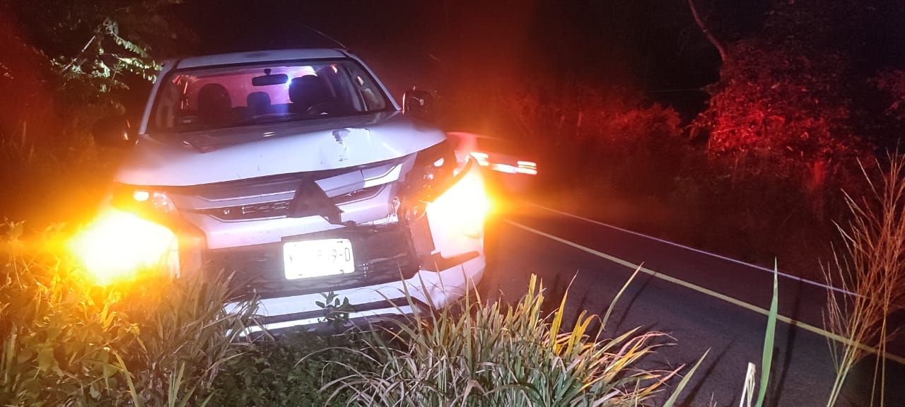 El impacto fue con la parte frontal de la camioneta; el animal se internó en los montes El impacto fue con la parte frontal de la camioneta; el animal se internó en los montes