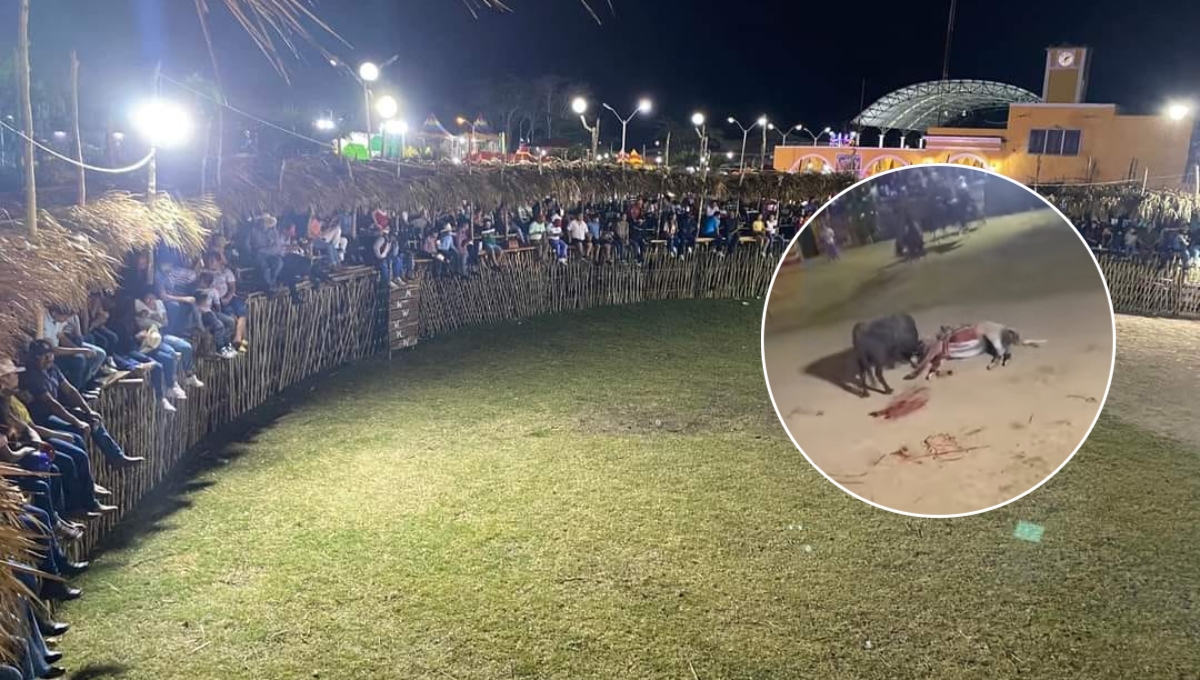 En el lugar un caballo fue embestido violentamente en varias ocasiones por un toro, lo que causó el enojo de animalistas En el lugar un caballo fue embestido violentamente en varias ocasiones por un toro, lo que causó el enojo de animalistas