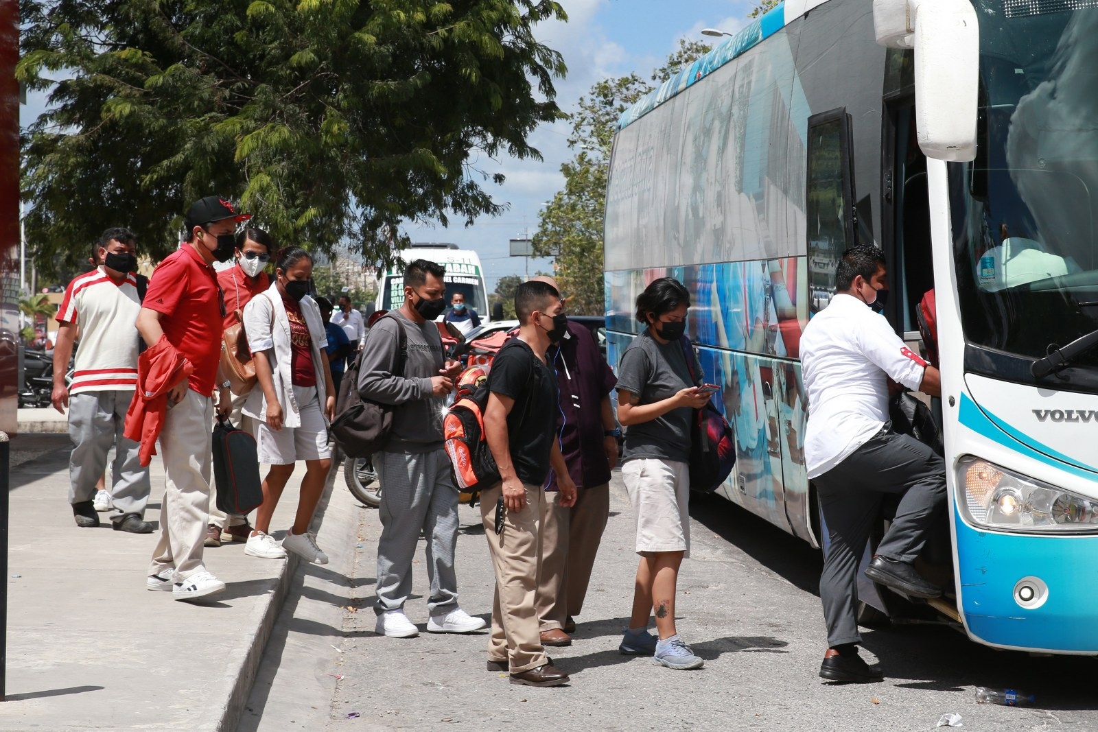 En Quintana Roo, sin aumento de tarifas de transporte público por fiestas decembrinas: Imoveqroo