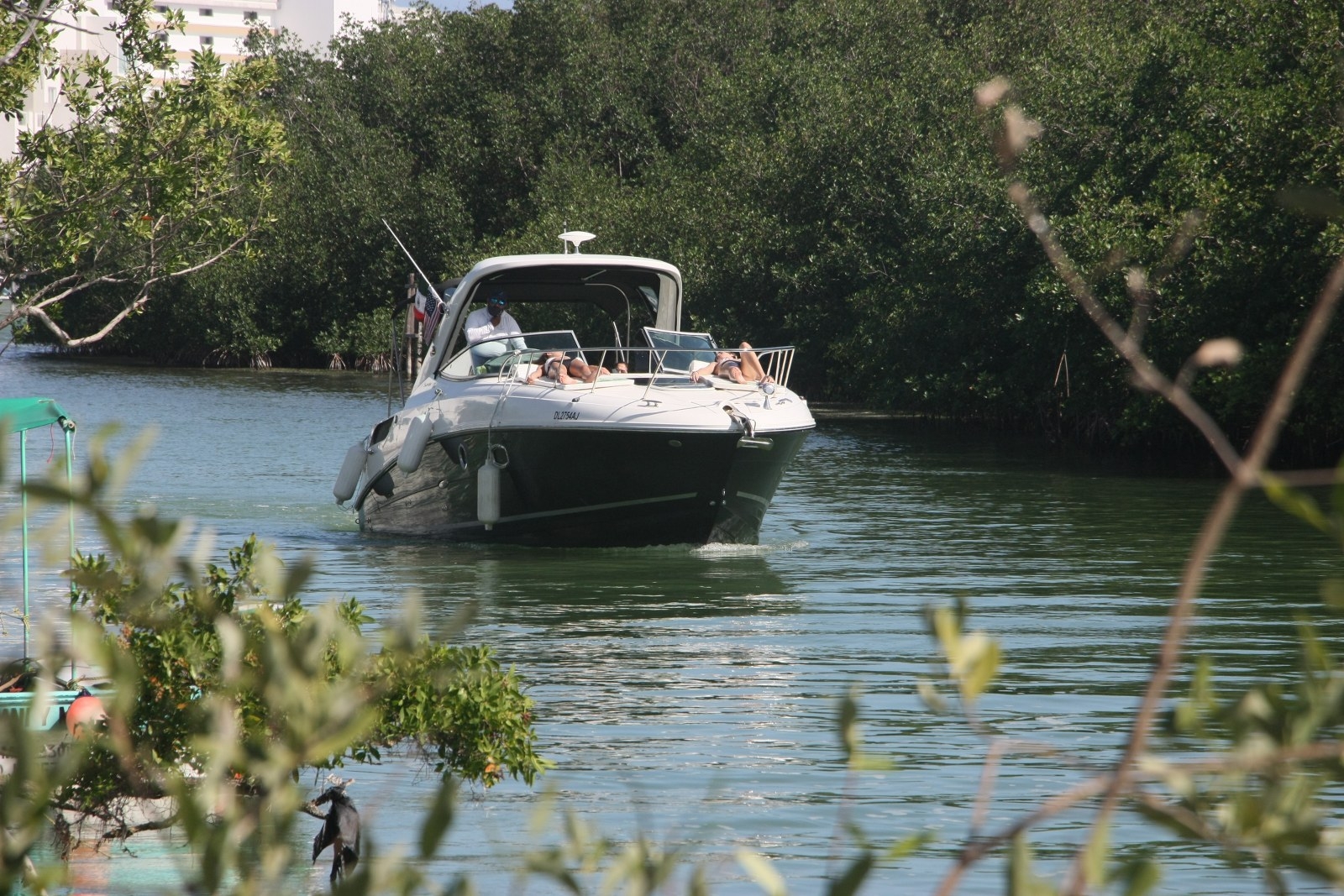 Sector Náutico aumenta 30% a comparación del 2021 en Quintana Roo