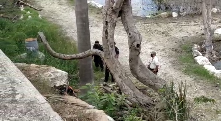 Bomberos realizaron el operativo de rescate desde una altura de ocho metros