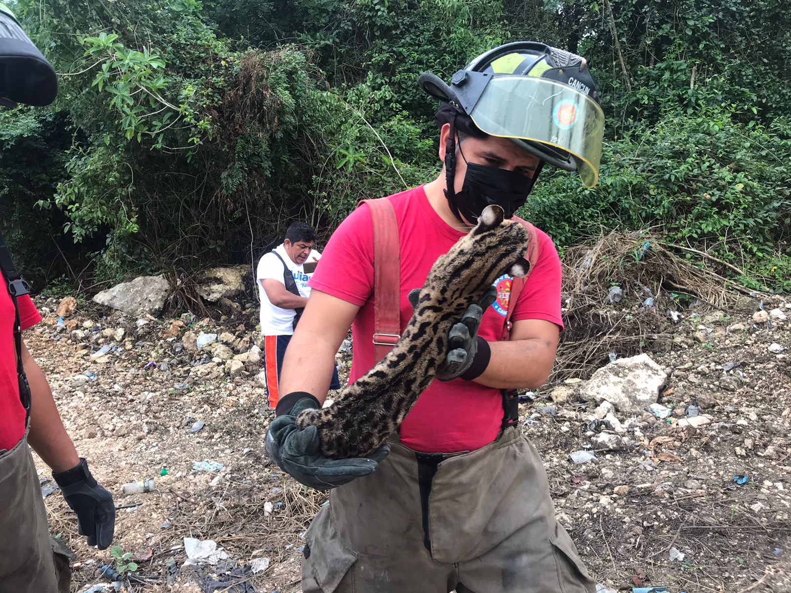 Elementos del Heroico Cuerpo de Bomberos quienes levantaron el felino para llevarlo a su base.