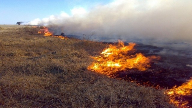 Argentina registró incendios inéditos este fin de semana. Foto: Especial Argentina registró incendios inéditos este fin de semana. Foto: Especial