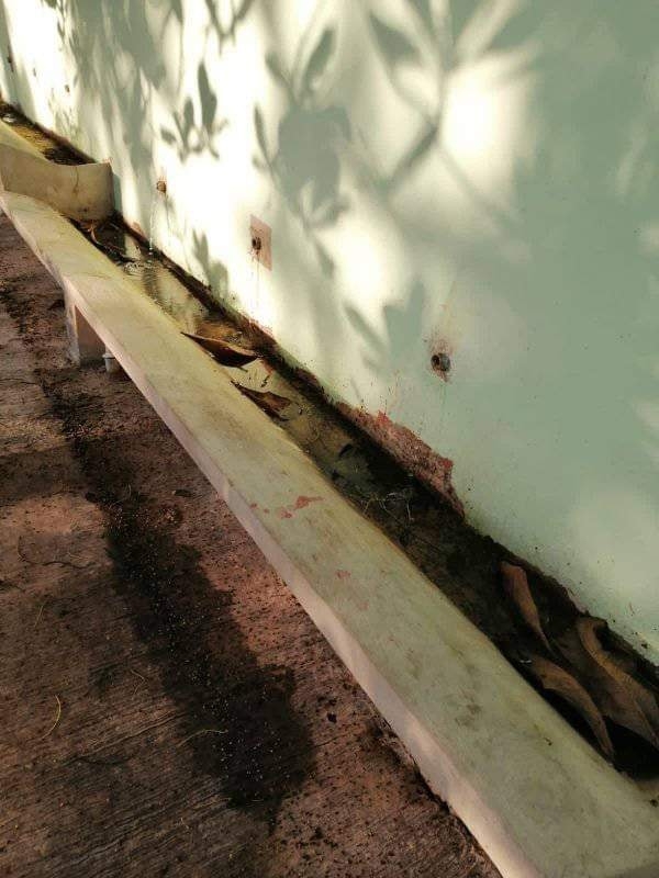 Las clases en Acanceh tuvieron que ser suspendidas para reparar los bebederos Las clases en Acanceh tuvieron que ser suspendidas para reparar los bebederos