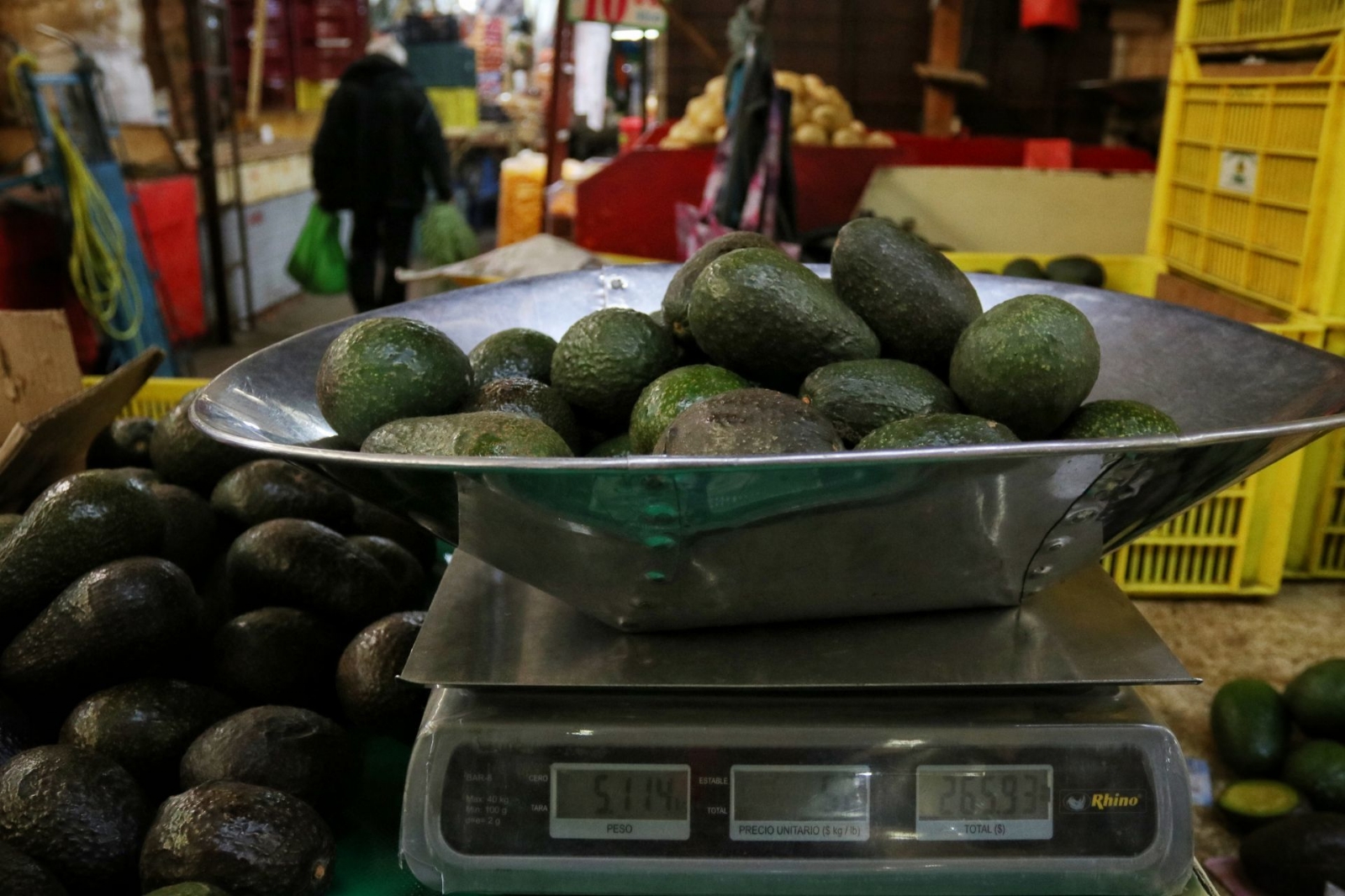 EU reanuda importaciones de aguacate en Michoacán