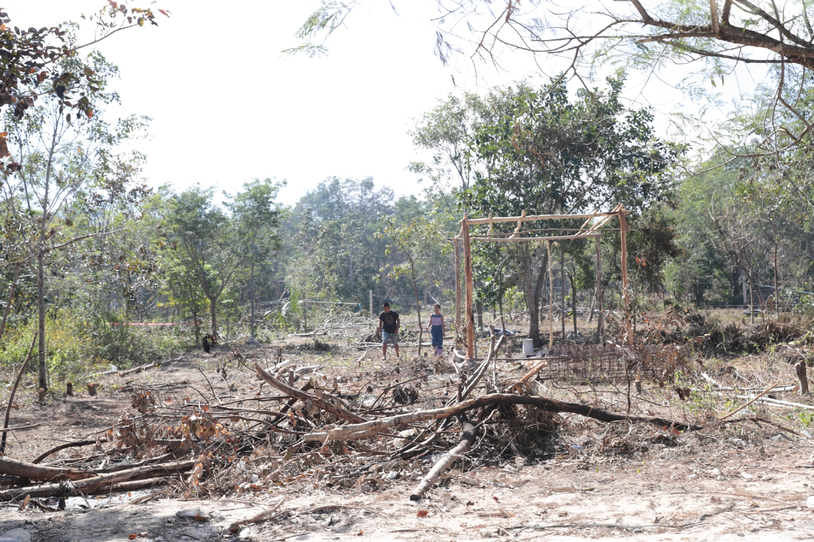 Tras dos meses, Yucatán es el único Estado de la zona que muestra indicios de lenta recuperación