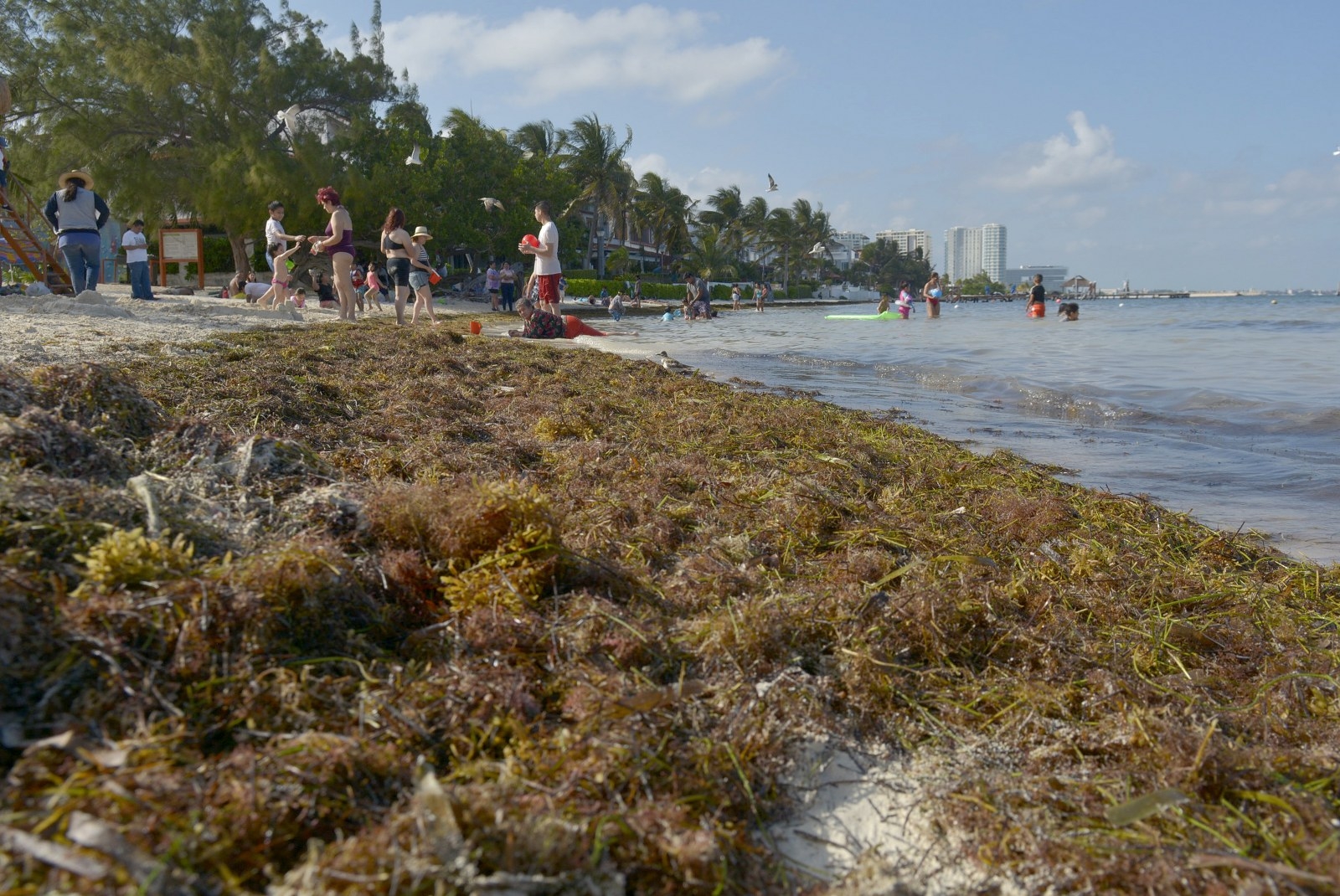 Los barcos que ayudan a la contención del sargazo en Quintana Roo reciben mantenimiento en Veracruz Los barcos que ayudan a la contención del sargazo en Quintana Roo reciben mantenimiento en Veracruz