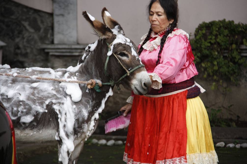 Desde su primera película, "Ruletero a toda marcha" en 1962 hasta su último filme, "La hija de Moctezuma" en 2014, su personaje mantuvo sus características. Foto: Especial Desde su primera película, "Ruletero a toda marcha" en 1962 hasta su último filme, "La hija de Moctezuma" en 2014, su personaje mantuvo sus características. Foto: Especial