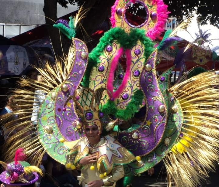 Los penachos, espalderas, batucadas y carros alegóricos, llenaron de color tan icónica avenida