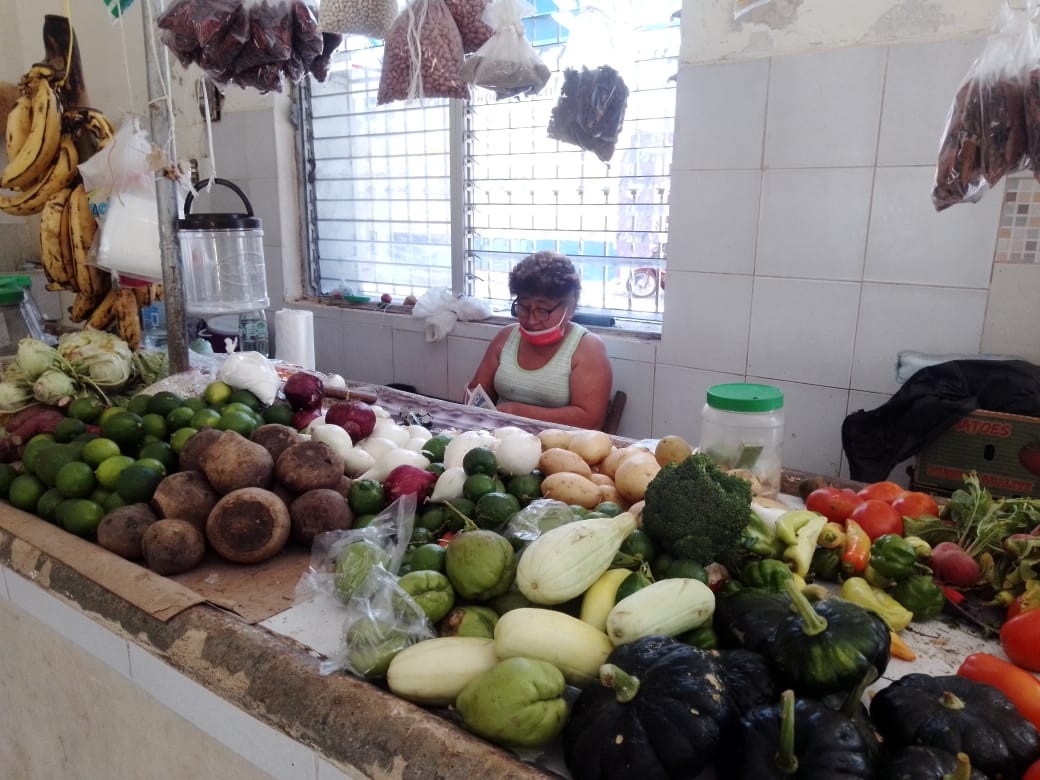 Abandonan la venta del aguacate en Sinanché tras alza en su precio