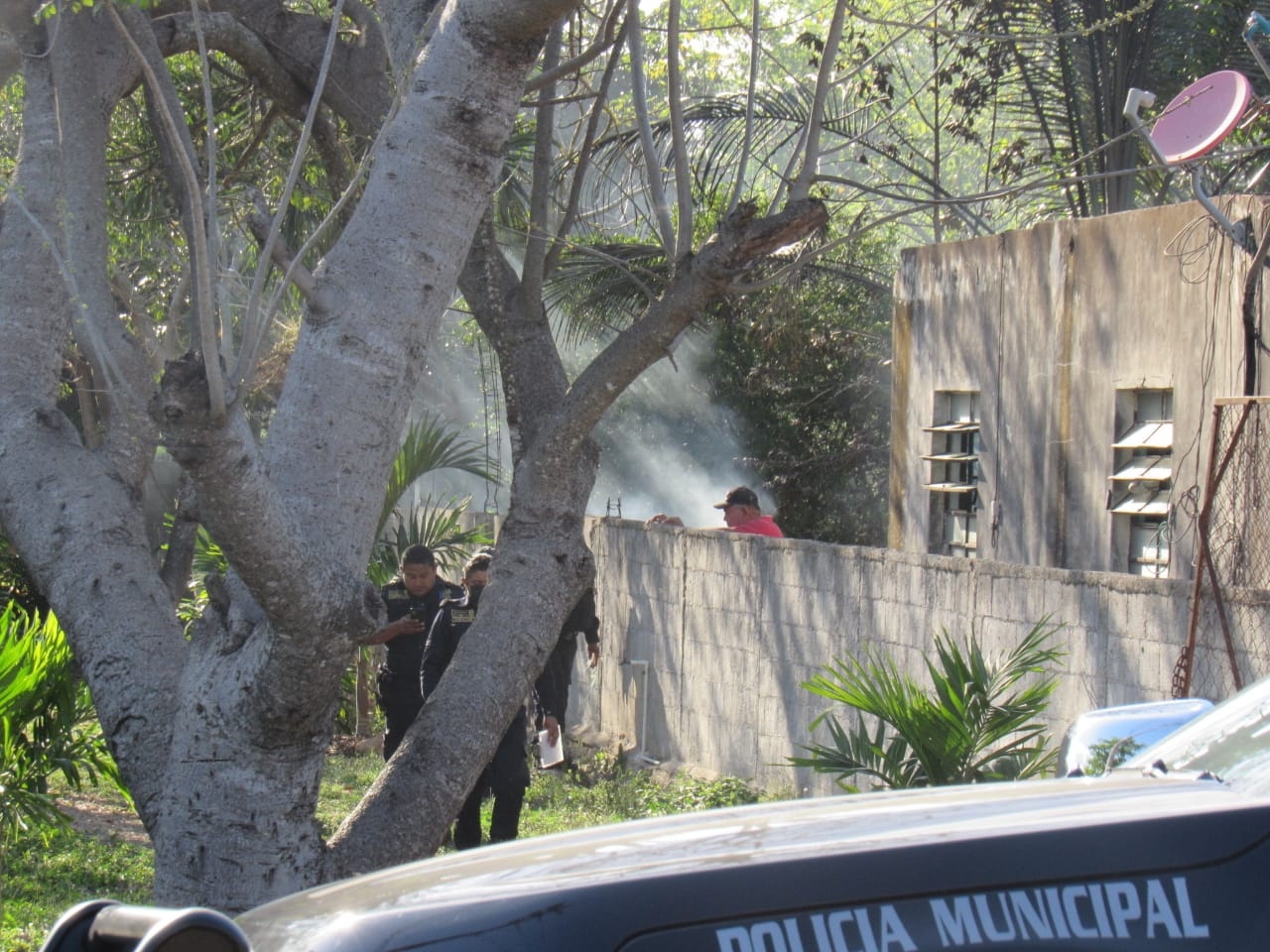 El incendio dejó una mascota sin vida
