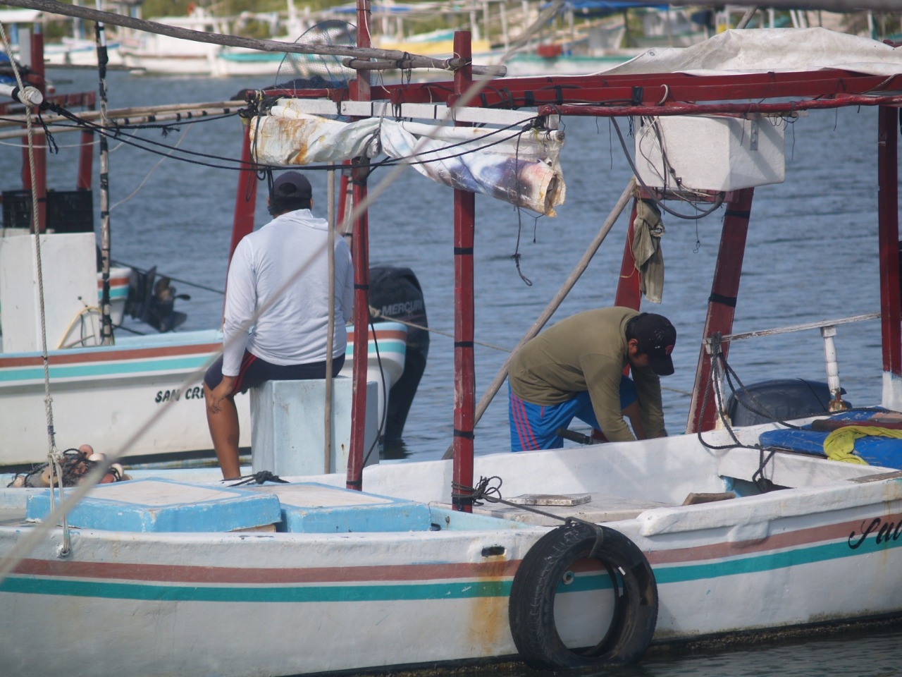 Pescador de Chabihau afirma que han estado capturando el chac-chi que sirve para filete y canané Pescador de Chabihau afirma que han estado capturando el chac-chi que sirve para filete y canané
