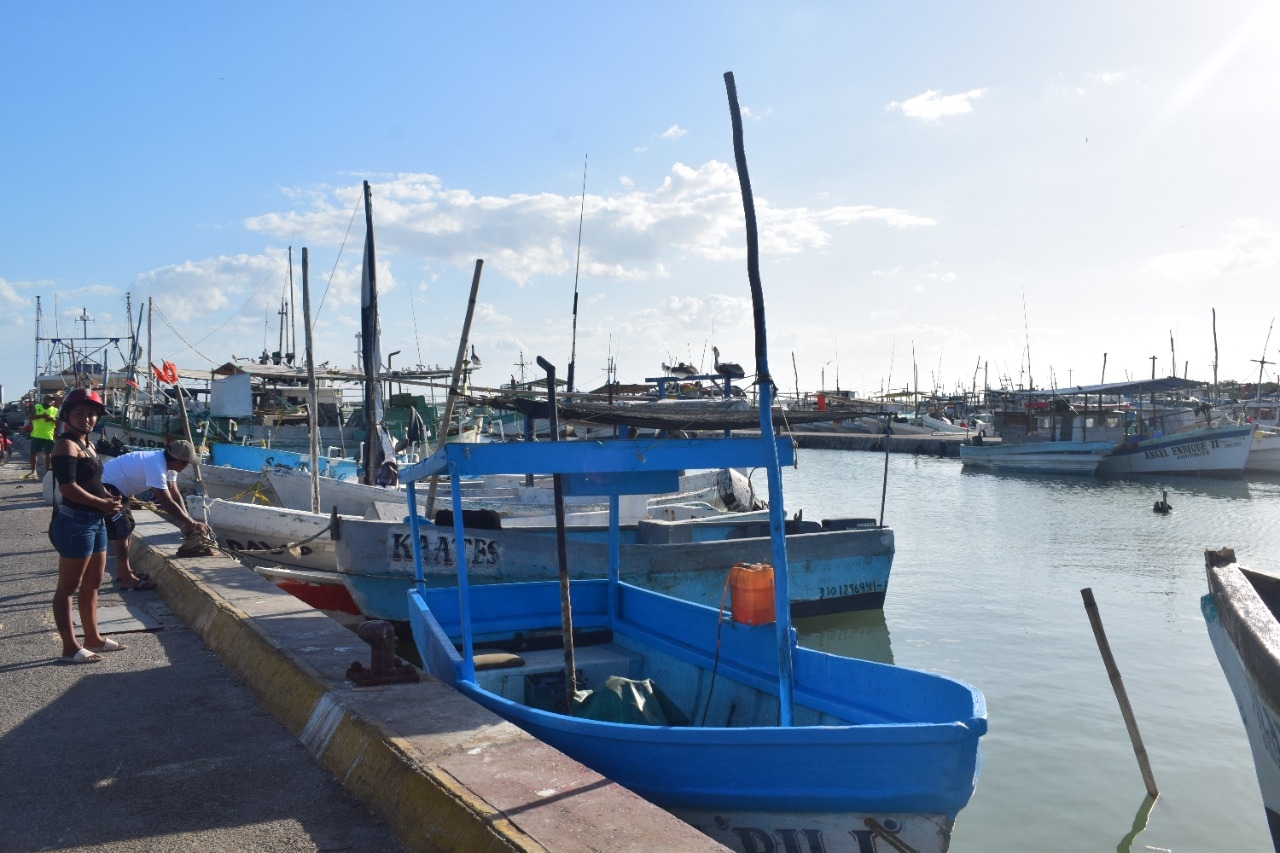 Pescadores de Progreso afirman las congeladoras buscan sardina para la temporada de mero