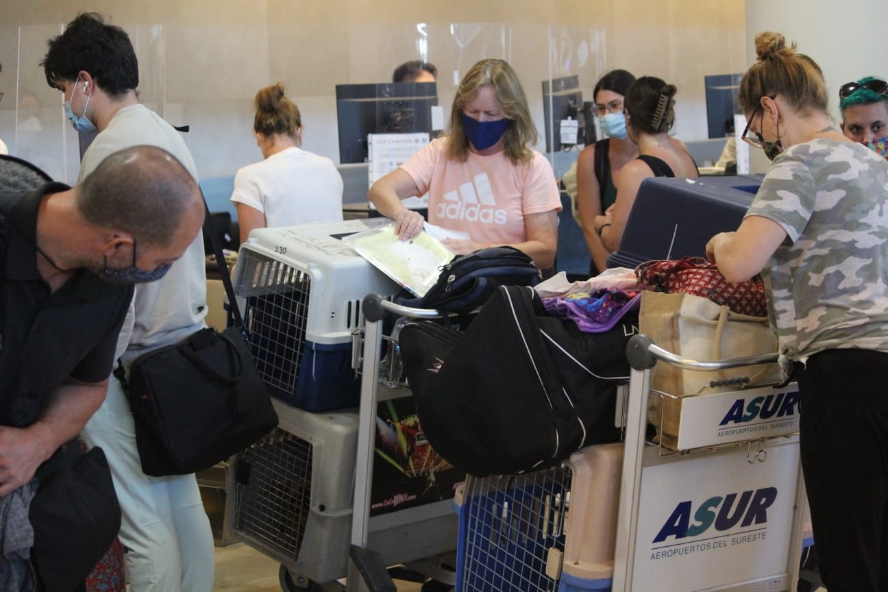 Las turistas canadienses tiene una fundación de rescate de perritos en Isla Mujeres, Playa del Carmen y Mahahual Las turistas canadienses tiene una fundación de rescate de perritos en Isla Mujeres, Playa del Carmen y Mahahual
