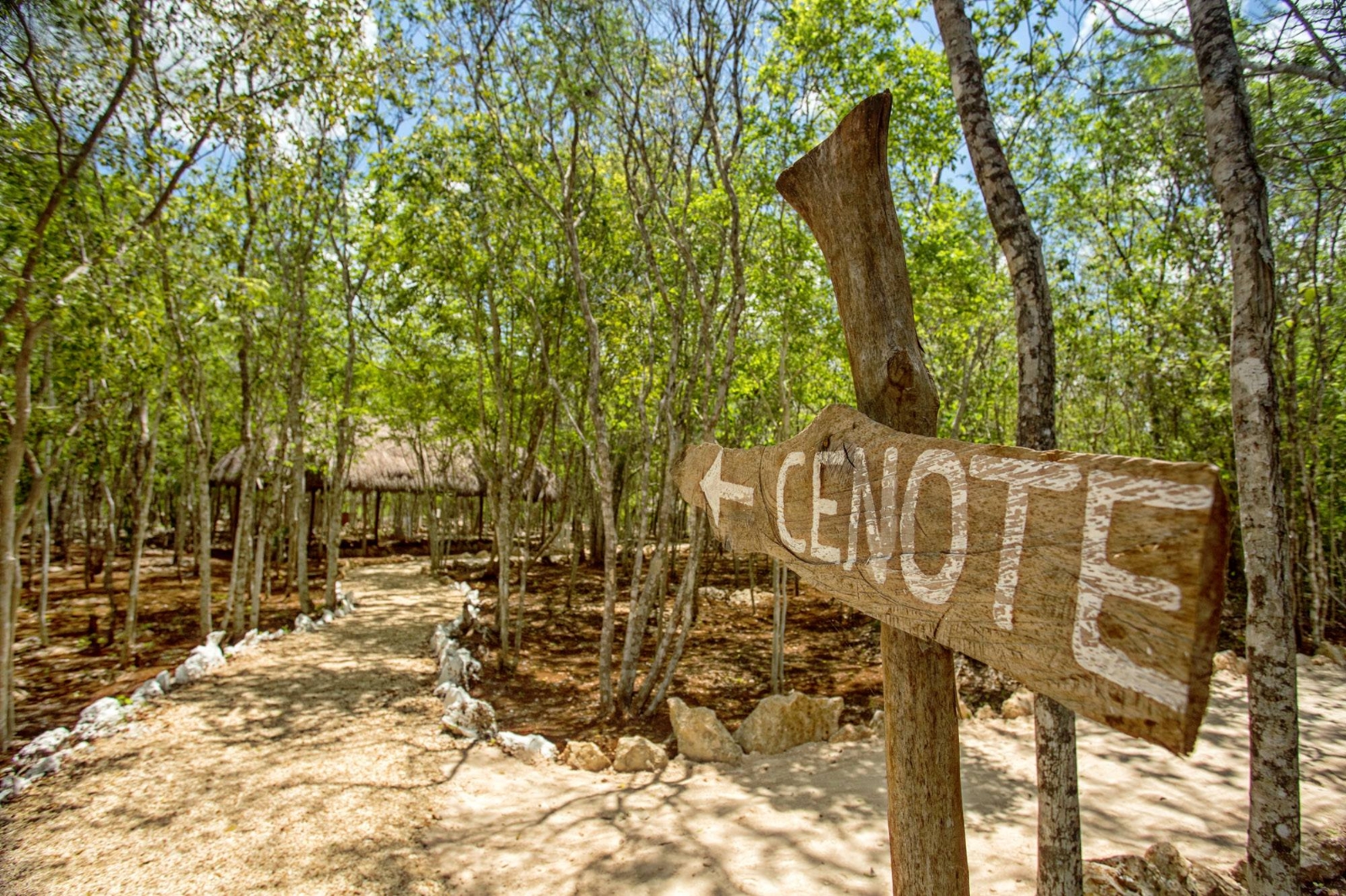 El cenote fantasma se ubica rumbo a Chemax