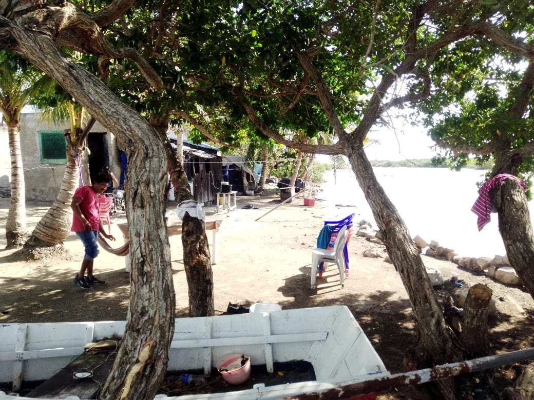 Vecinos de San Crisanto, acostumbrados a vivir con cocodrilos