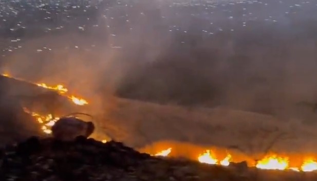 Elementos de la Comisión Estatal Forestal trabaja en la zona para sofocar el fuego. Foto: Captura de Pantalla