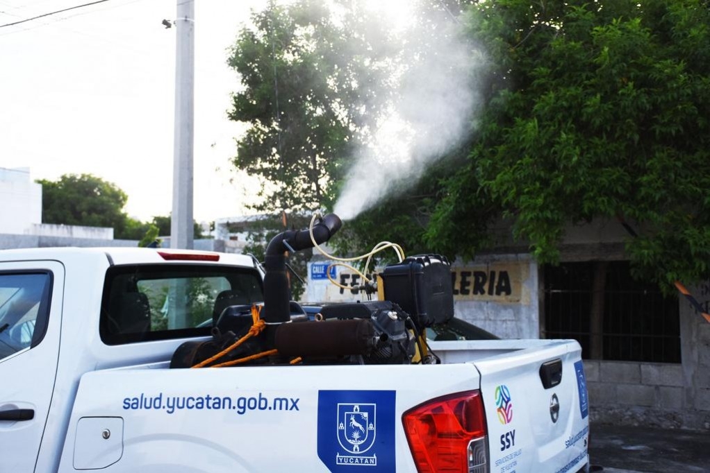 En el caso de la Península de Yucatán, se registran cinco casos de dengue entre los tres estados, informó la SSA