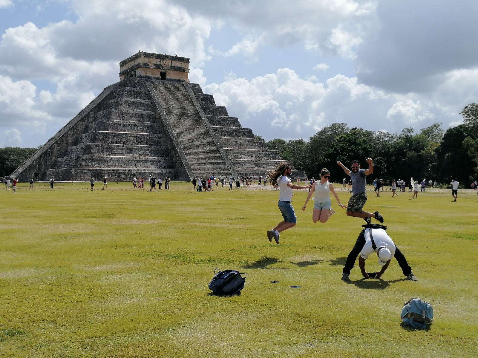 Varios perros 'cuidadores' de Chichén Itzá fueron rescatados