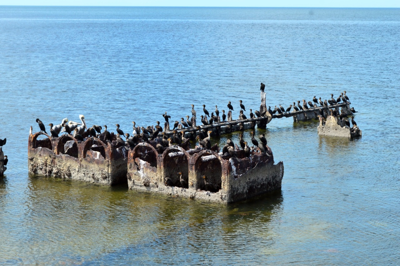 Los vestigios de la embarcación están en el malecón de Campeche