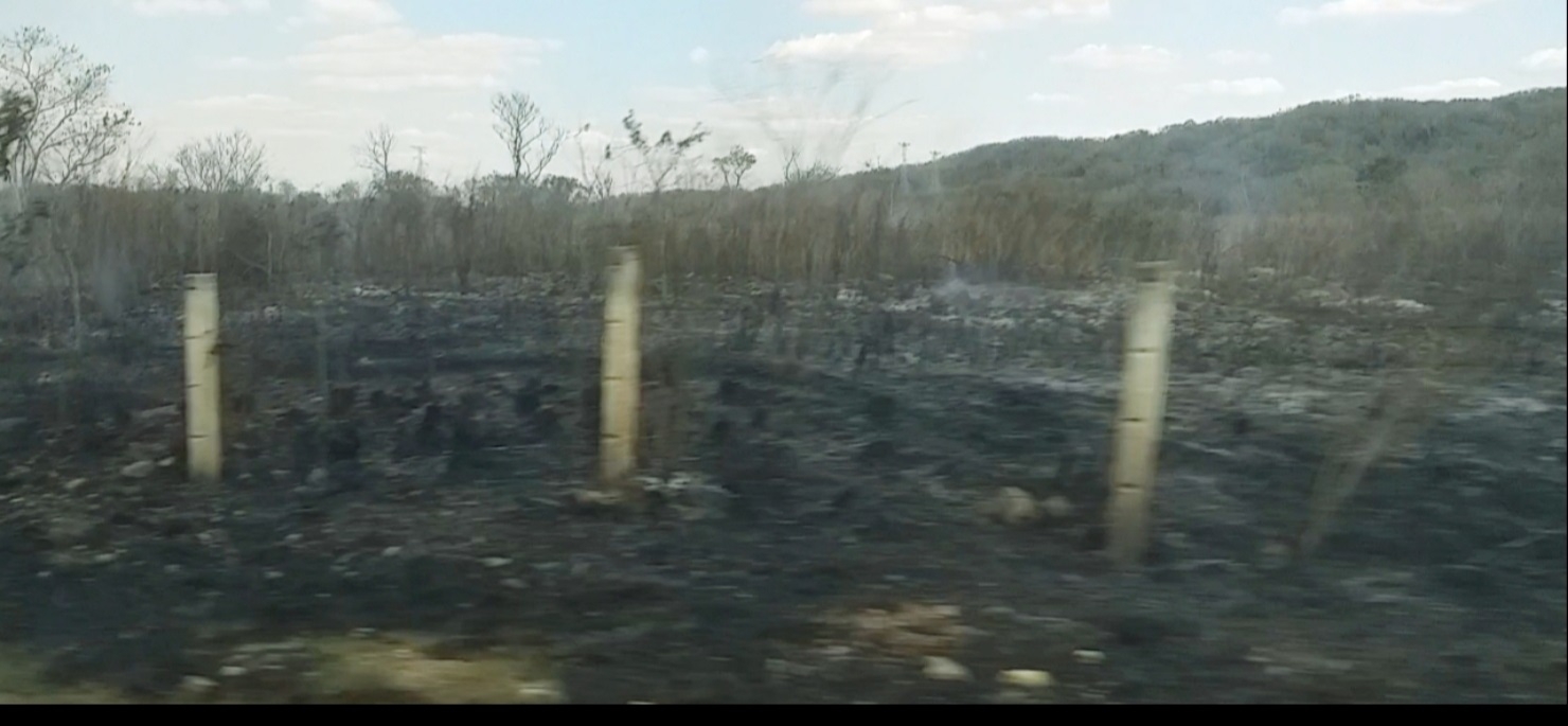 El incendio provocó abundante humo que dificultó la visibilidad de los automovilistas que pasaban por el lugar El incendio provocó abundante humo que dificultó la visibilidad de los automovilistas que pasaban por el lugar