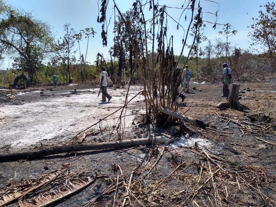 Productores de Tizimín piden hacer uso responsable de las quemas agrícolas Productores de Tizimín piden hacer uso responsable de las quemas agrícolas