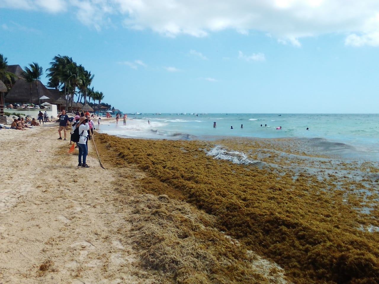 Se trata del primer recale de la temporada 2022, las cuales da una mala imagen a los playas color turquesa