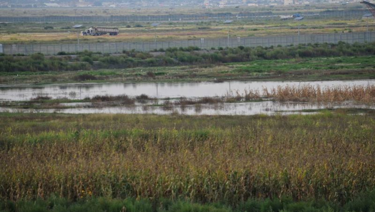 El presidente Andrés Manuel López Obrador declaró al Lago de Texcoco como Área Natural Protegida con el carácter de Área de Protección de Recursos Naturales El presidente Andrés Manuel López Obrador declaró al Lago de Texcoco como Área Natural Protegida con el carácter de Área de Protección de Recursos Naturales