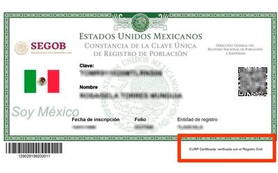 La Clave Única de Registro de Población es un documento oficial y obligatorio. Foto: Especial La Clave Única de Registro de Población es un documento oficial y obligatorio. Foto: Especial