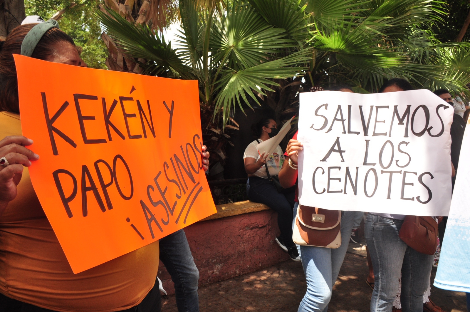 En la Península de Yucatán se encuentran 14.2 % de las granjas de cerdos del país.