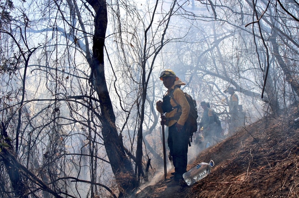Briigadistas realizaron los trabajos necesarios para sofocar el fuego. Foto: Twitter @CEECA_Morelos Briigadistas realizaron los trabajos necesarios para sofocar el fuego. Foto: Twitter @CEECA_Morelos