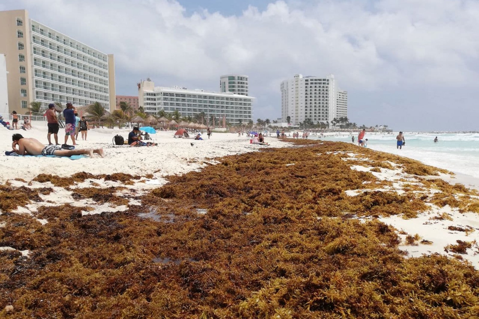 En 2021, Cancún fue uno de los destinos turísticos de Quintana Roo con más afectaciones por la llegada de sargazo a sus playas