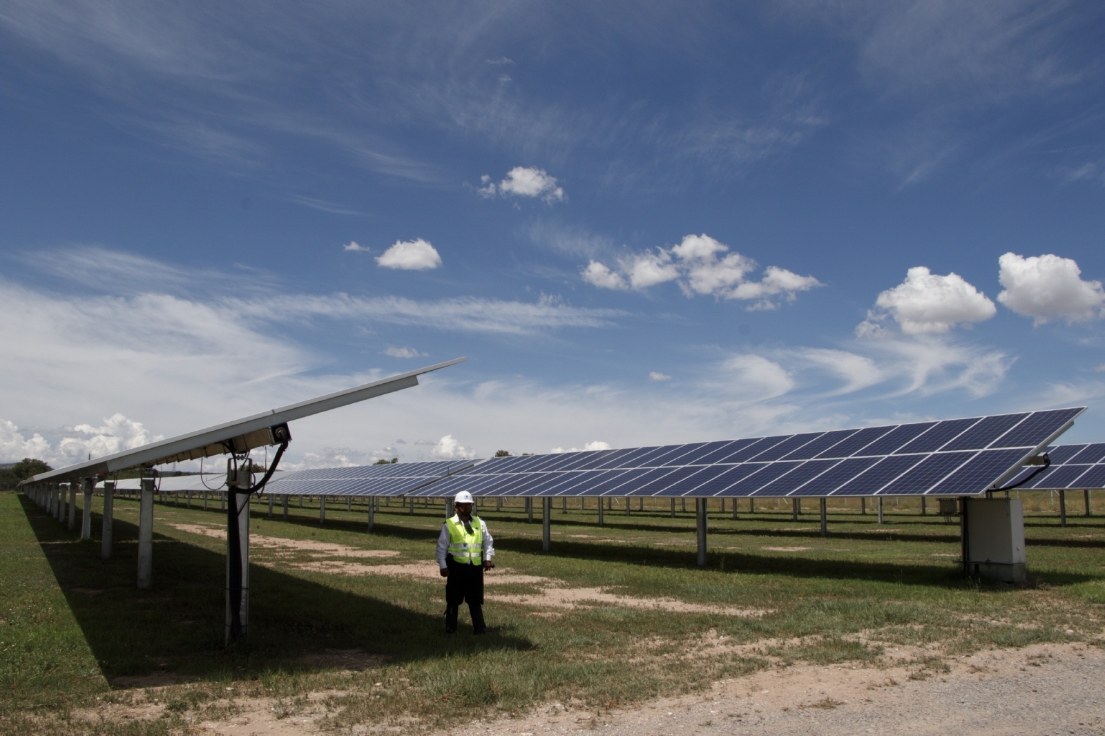 Se espera que el parque fotovoltaico se construya sobre al menos 246 hectáreas de selva en Valladolid
