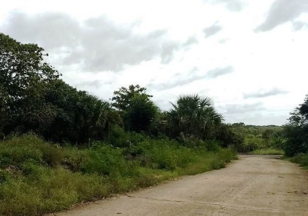 Más del 80% de los terrenos de inversión en Mérida se encuentran fuera de zonas urbanas Más del 80% de los terrenos de inversión en Mérida se encuentran fuera de zonas urbanas