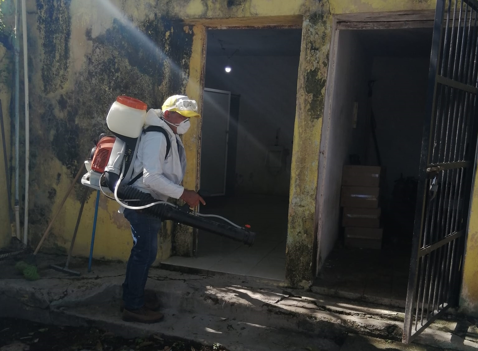 En un plantel escolar se detectó el Aedes Aegypti En un plantel escolar se detectó el Aedes Aegypti