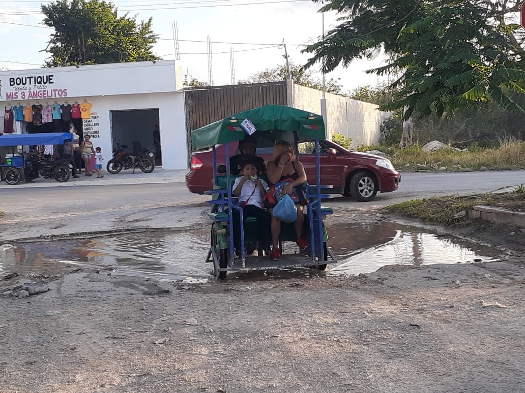 El agua se estanca en los baches, generando moscos El agua se estanca en los baches, generando moscos