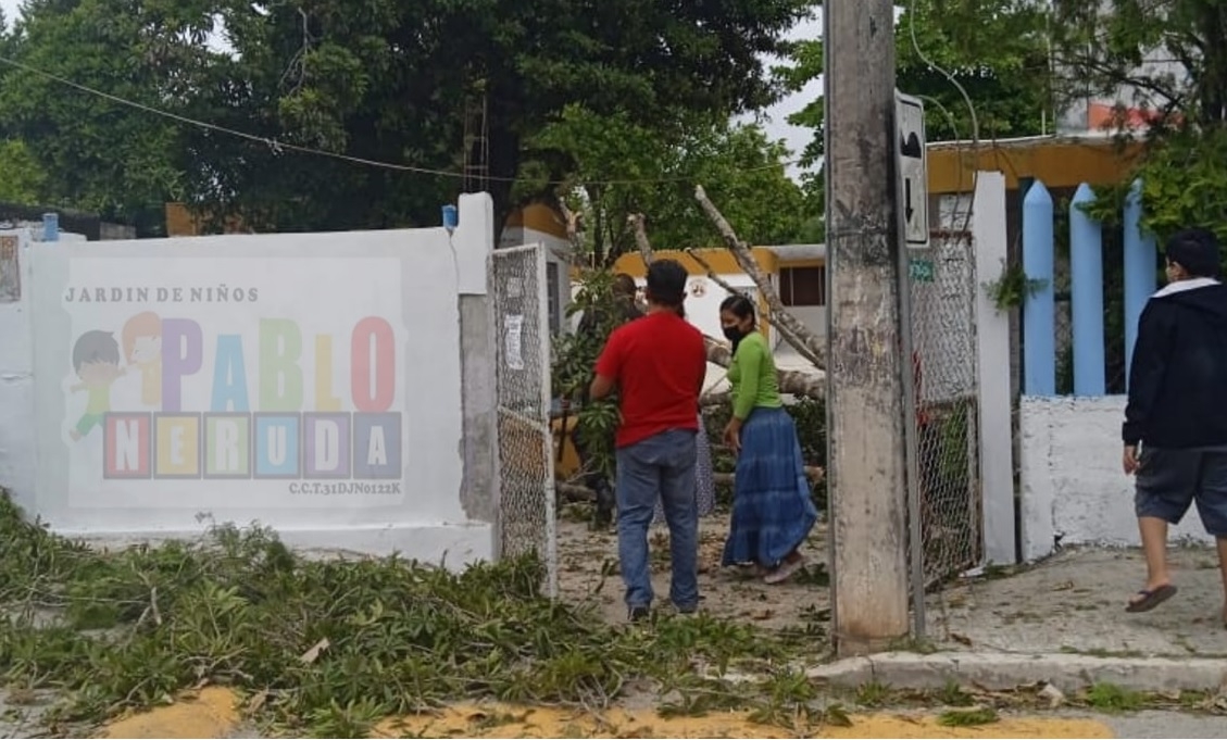 Desde hace varios meses se ha denunciado el peligro que representa un árbol para los niños, mismos que ha causado daño Desde hace varios meses se ha denunciado el peligro que representa un árbol para los niños, mismos que ha causado daño