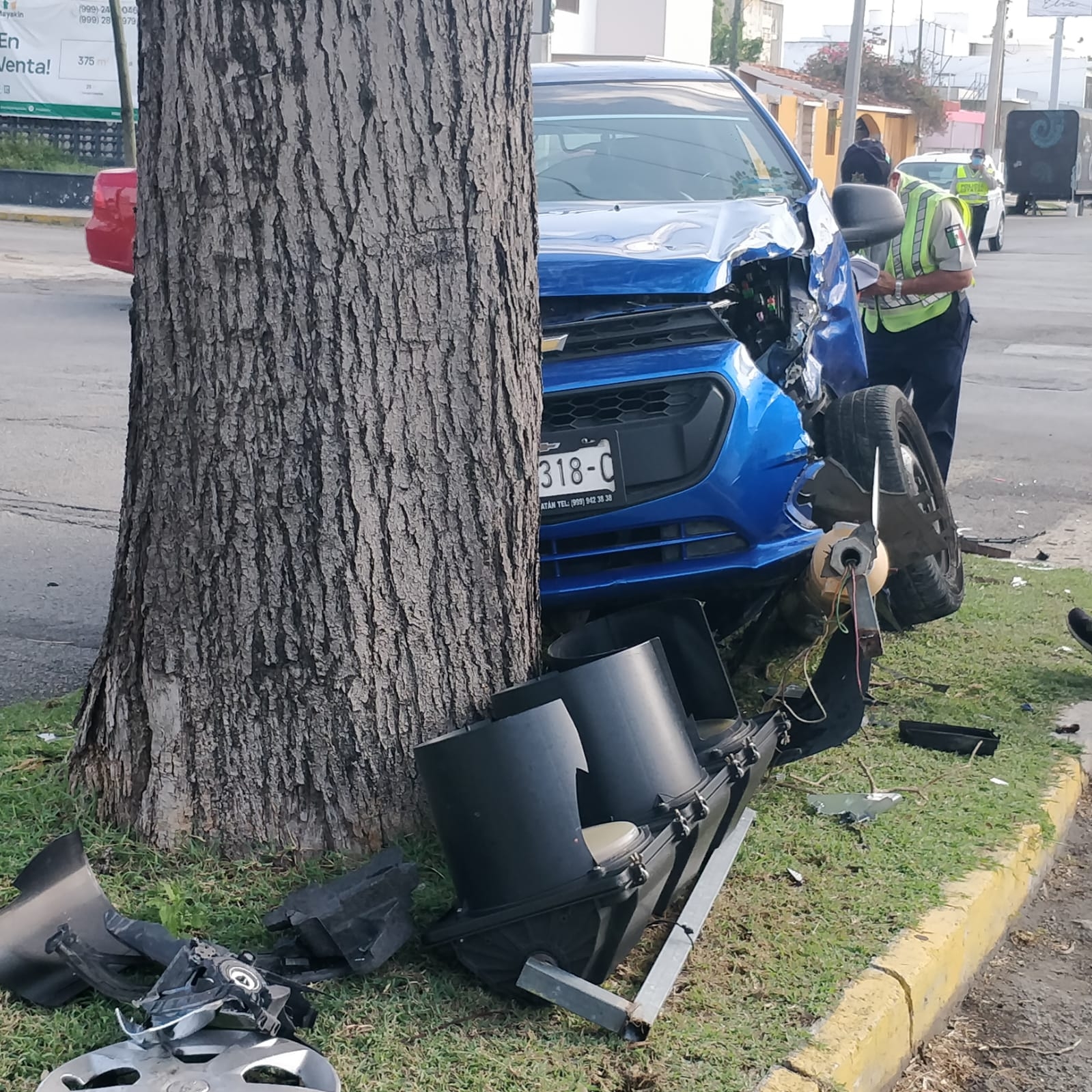 Los accidentes por confusión del semáfor de peatones se han hecho más comunes en la ciudad de Mérida Los accidentes por confusión del semáfor de peatones se han hecho más comunes en la ciudad de Mérida