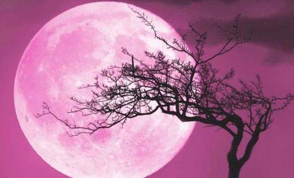 La Luna Rosa es uno de los fenómenos astronómicos de abril. Foto: Especial La Luna Rosa es uno de los fenómenos astronómicos de abril. Foto: Especial
