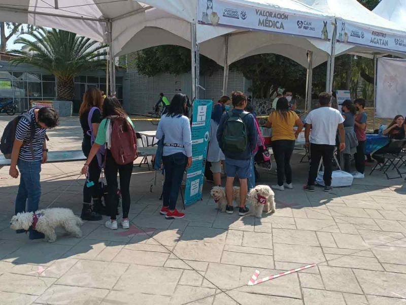 El Can Fest 2022 se realizará en un horario de 09:00 a 17:00 horas, en el Deportivo Hermanos Galeana, ubicado en la colonia San Juan de Aragón, VII Sección