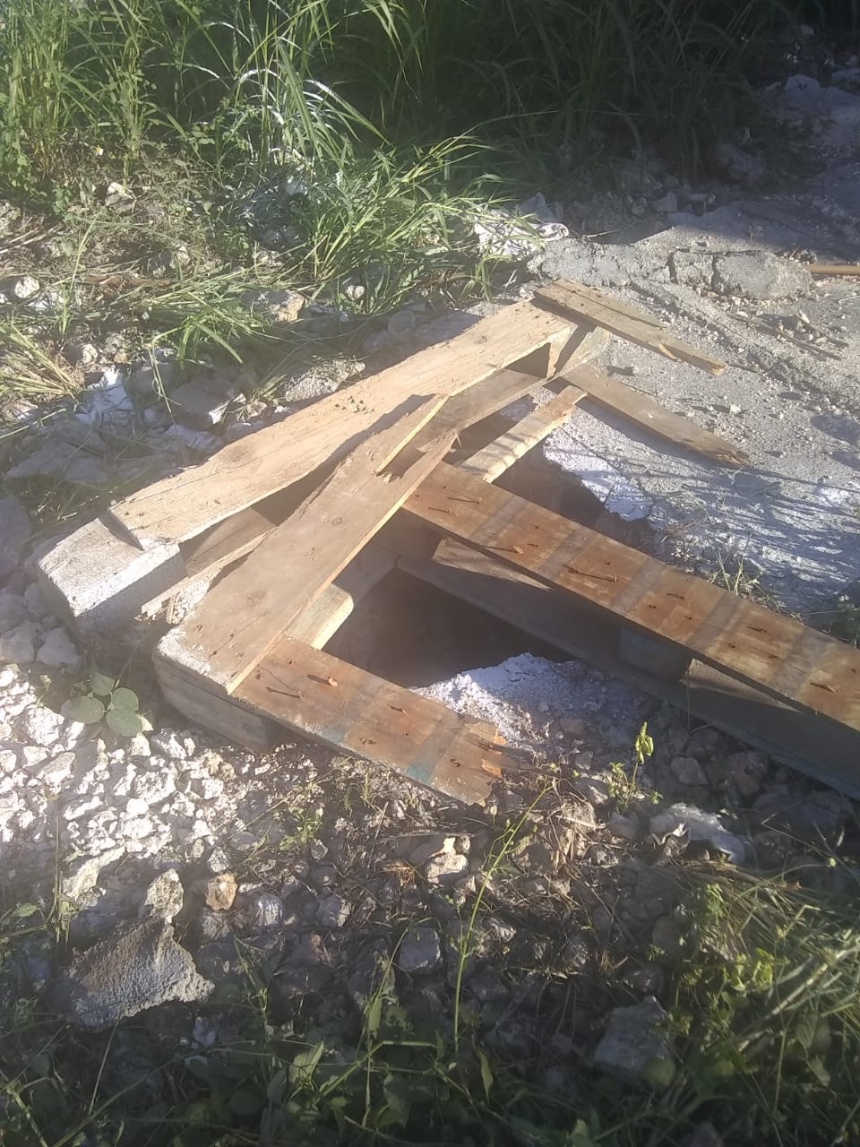 Perro cae dentro de un pozo y muere ahogado en Motul