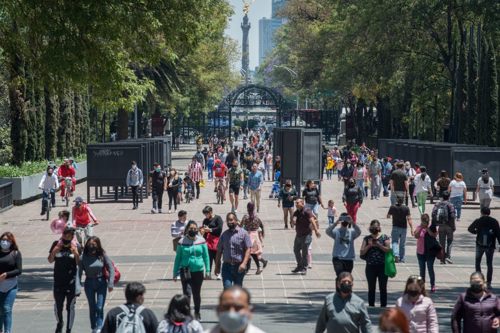 La CDMX trae consigo una serie de oferta de actividades para realizar con la familia