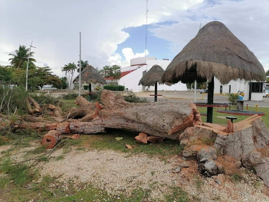 Además, se le obligó al titular, William Saulceth Conrrado Alarcón, a cumplir con el pago de una póliza de fianza por 2 millones 600 mil 520 pesos