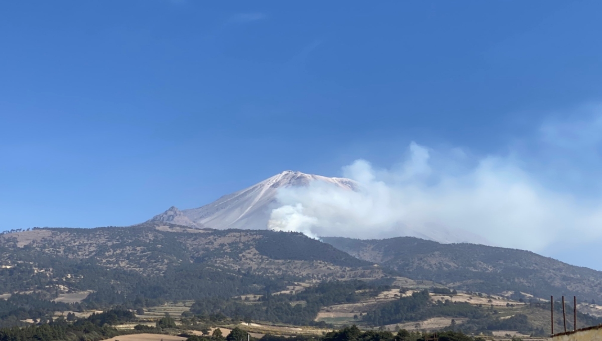 Las autoridades detallaron que el incendio pudo haber sido provocado