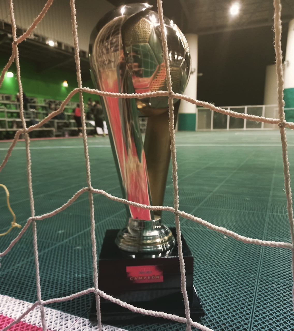 La FMF manejará el torneo