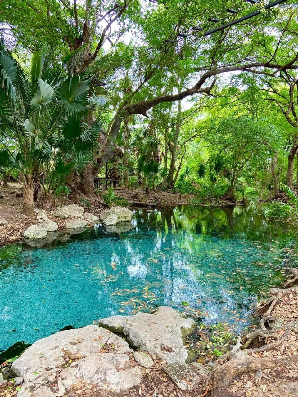Cinco lugares mágicos de Campeche para disfrutar en esta Semana Santa