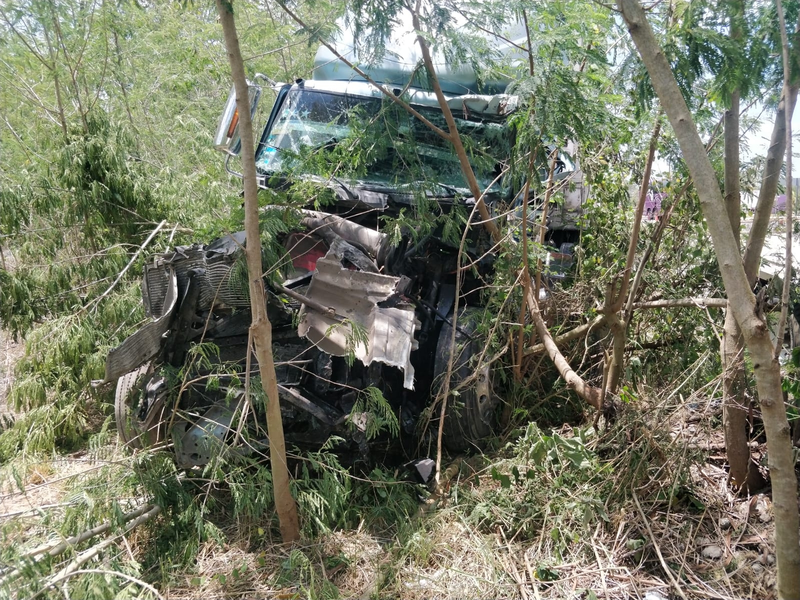 El tráiler terminó dentro del monte después de chocar contra el camión El tráiler terminó dentro del monte después de chocar contra el camión