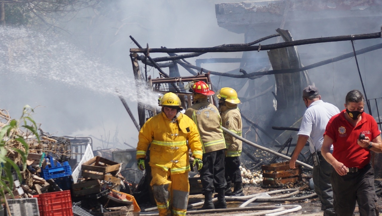 Este año van más de 200 incendios en el estado