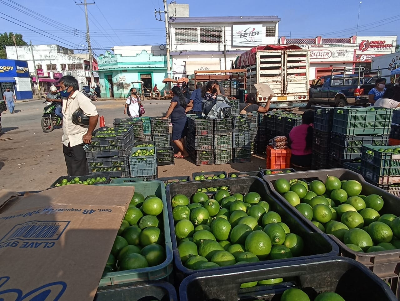 Una de las causas de la baja es que los compradores de exportación no están adquiriendo la cosecha