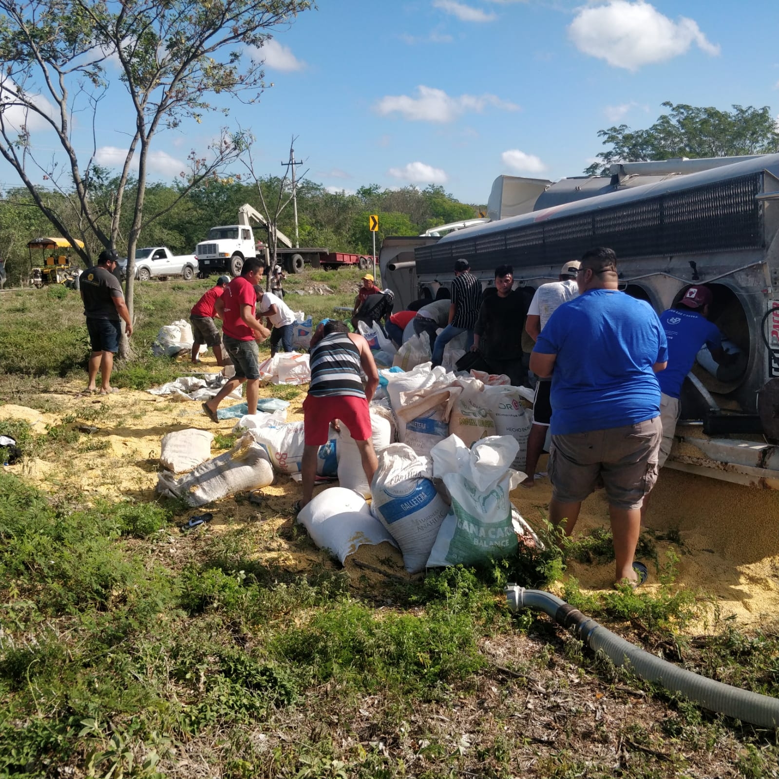 Personas llegaron en camionetas para llevarse el producto